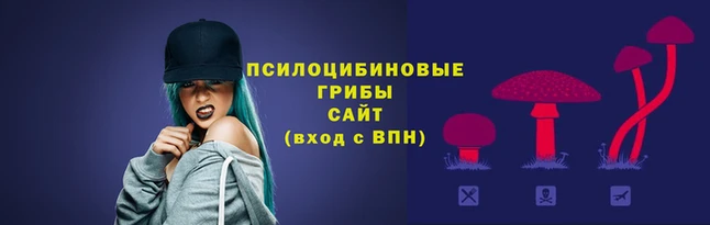 марки lsd Ладушкин
