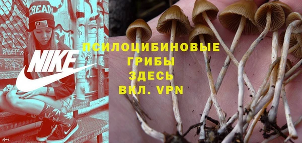 MESCALINE Лабытнанги
