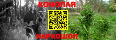 Альфа ПВП Беслан