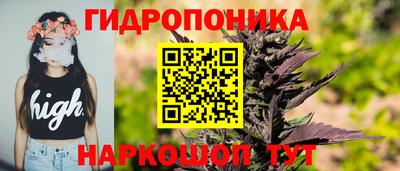Альфа ПВП Беслан