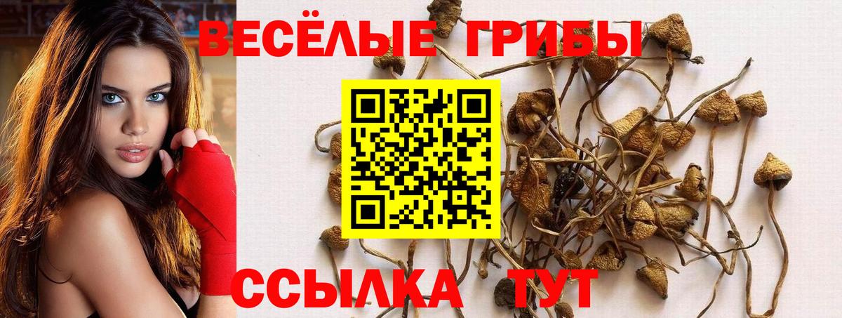 Псилоцибиновые грибы MAGIC MUSHROOMS Карачаевск