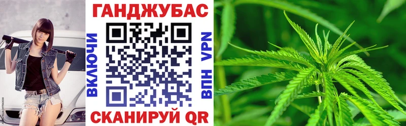 Канабис тримм  KRAKEN как войти  мориарти наркотические препараты  Карачаевск 